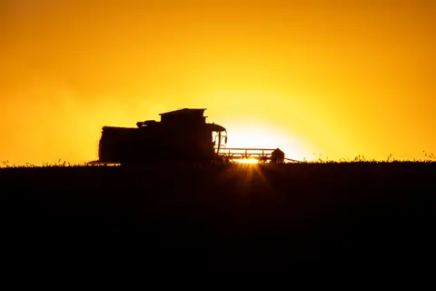 Schnitt vor der Sonne