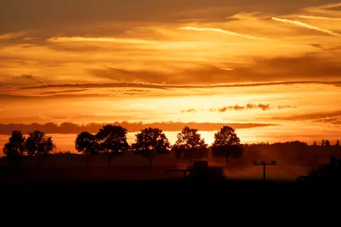 Allee bei Sonnenuntergang