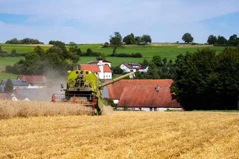 Dorfkulisse und Ernte