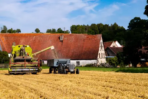 Abladen auf Anhänger