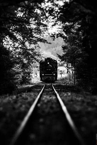 Zwischen den Bäumen, ein Herz aus Dampf