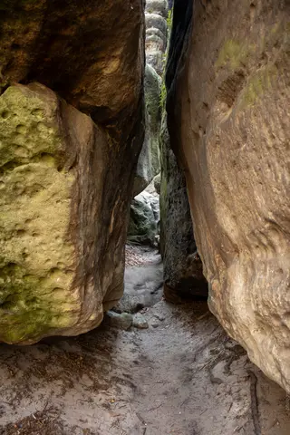 Elbsandsteingebirge (Sächsische Schweiz)