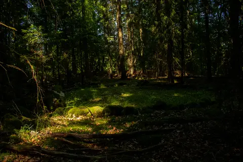 vergangen & vergessen