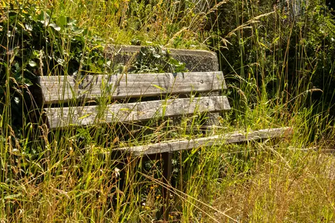 vergangen & vergessen