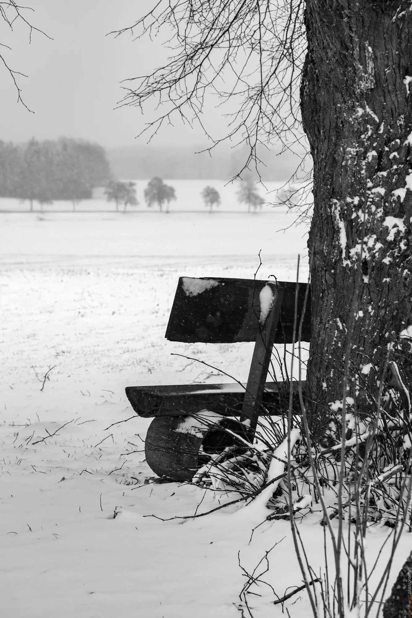 Winterbank – stummer Zeuge