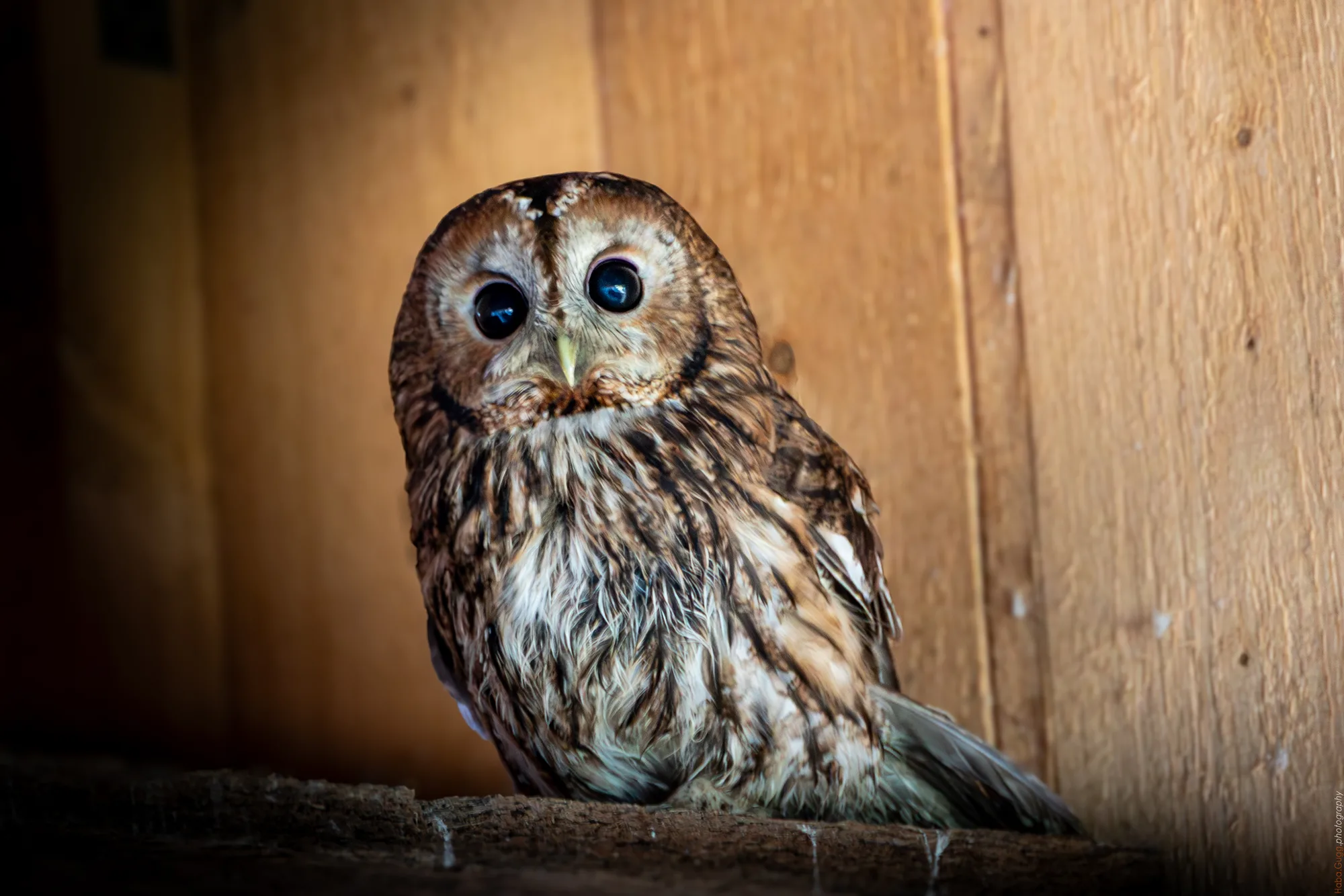 Blick aus der Stille