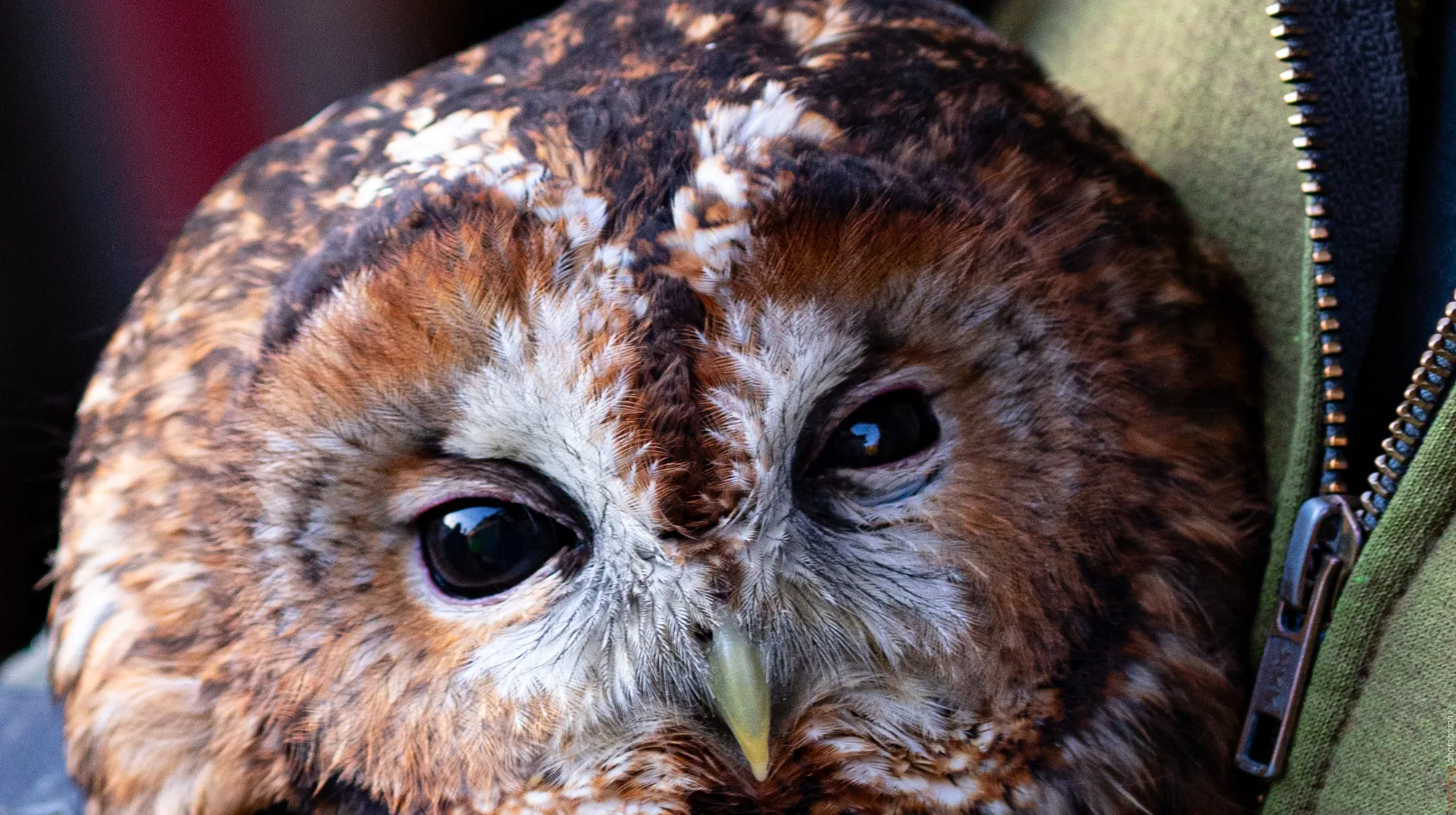 Letzte Minuten Schutz