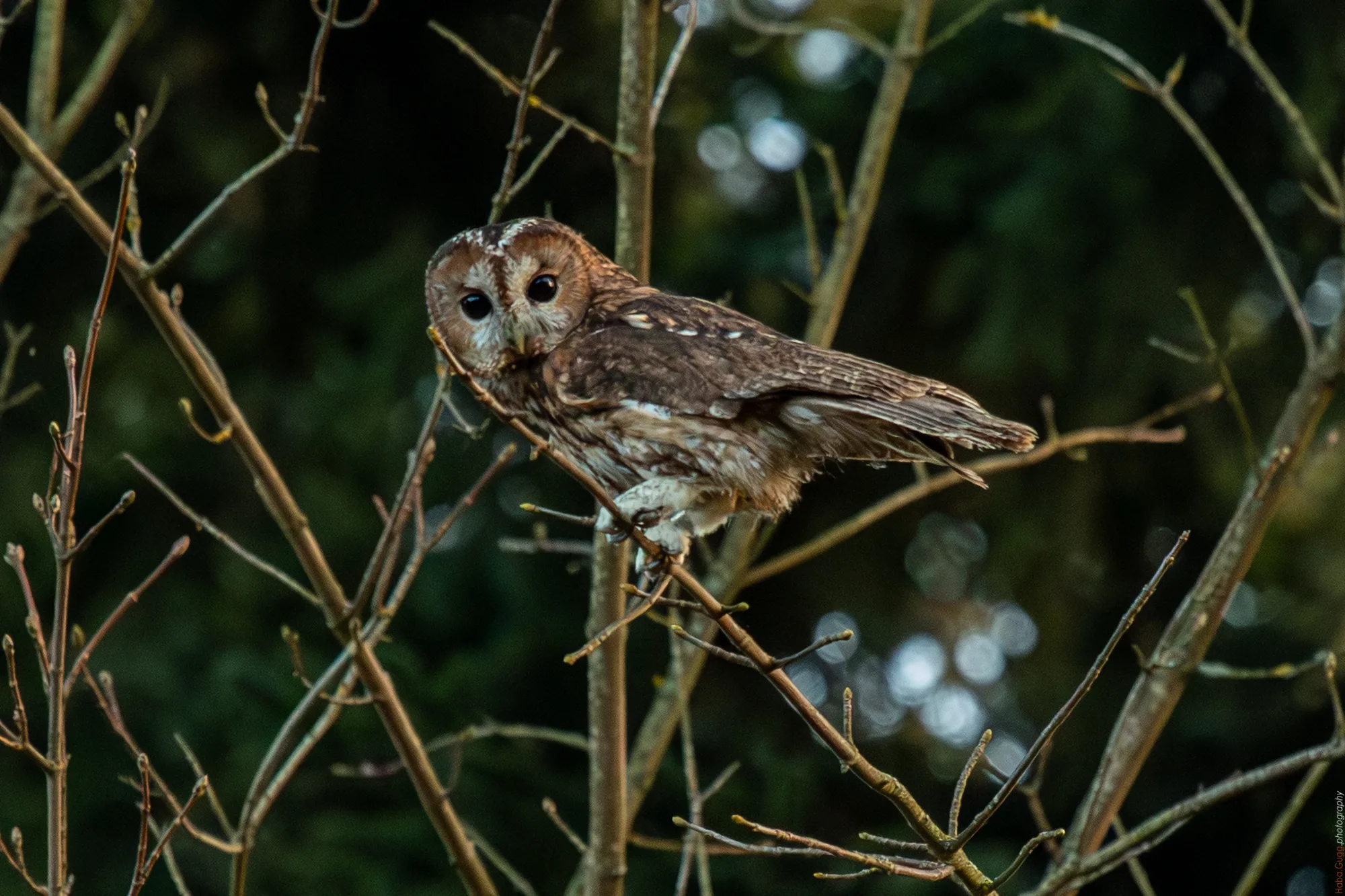 Wieder selbst verantwortlich