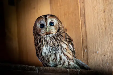 Blick aus der Stille