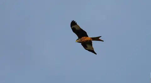 Der Raum gehört ihm