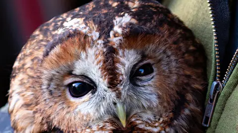 Letzte Minuten Schutz