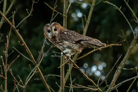 Wieder selbst verantwortlich