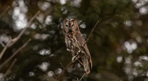 Wieder selbst verantwortlich