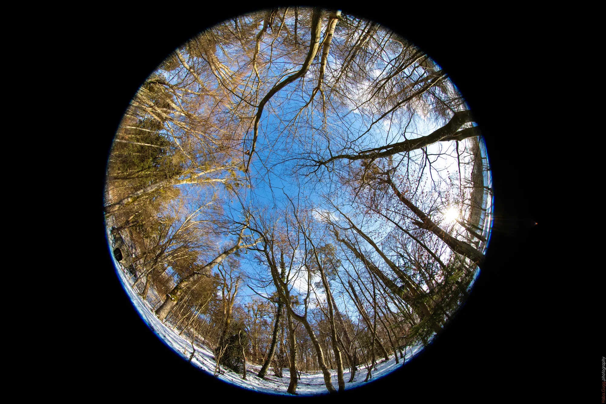 Winterwald Karlsbrunnen