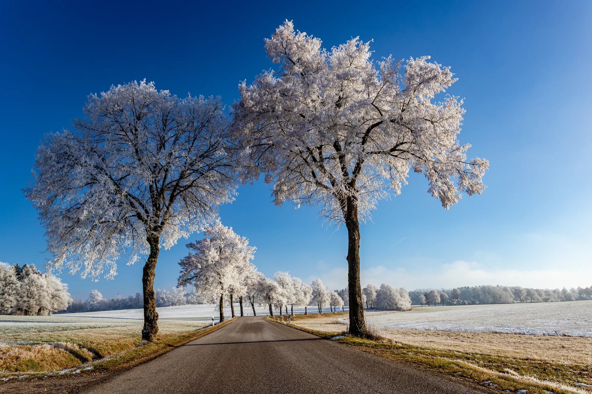 Raureif-Tor an der Feldallee