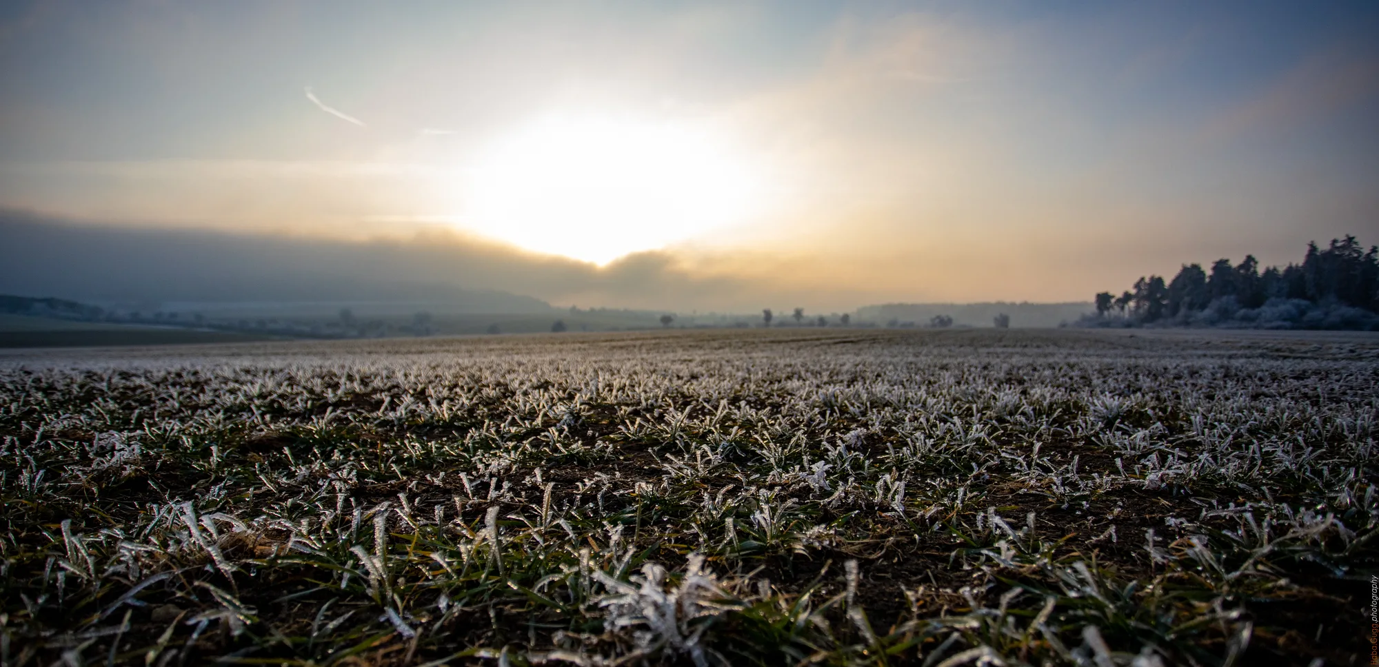 Auernheim – Nebelrand im Winterlicht