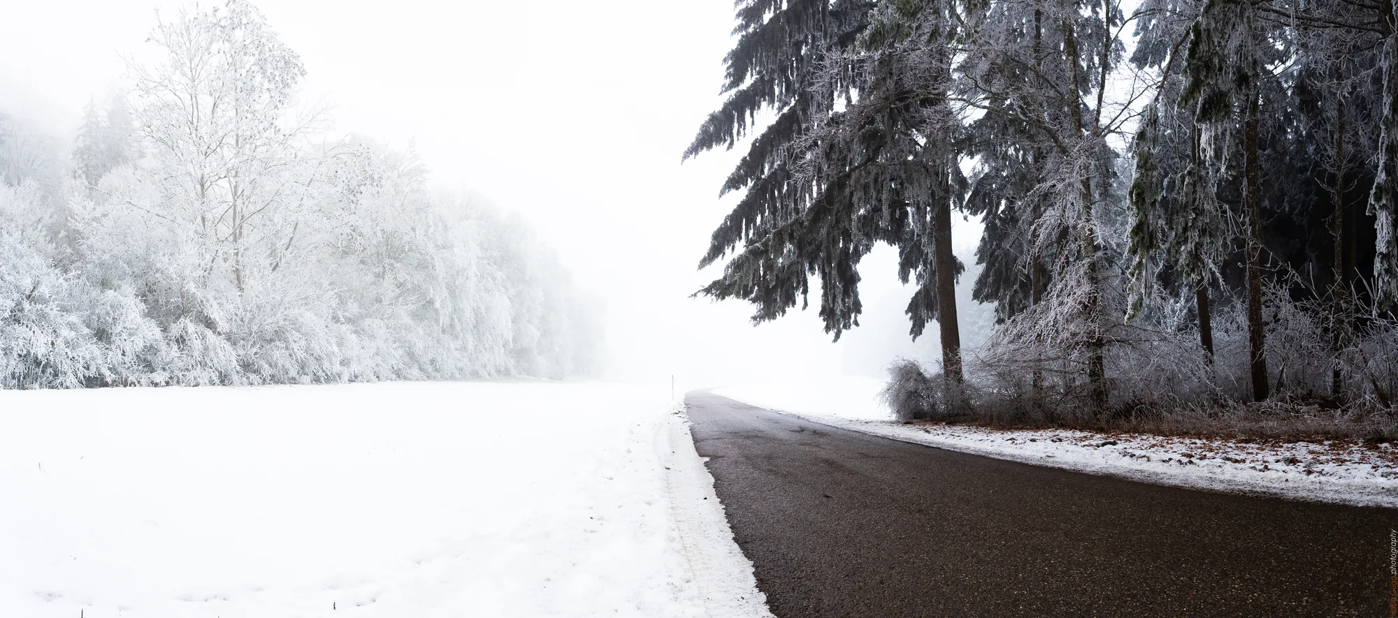 Fleinheim – Nebelgrenze an der Waldkante