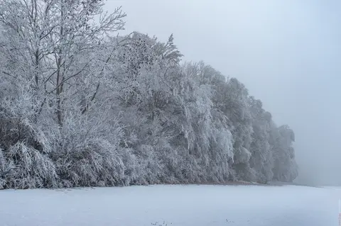 Fleinheim – Reifkante im Nebel