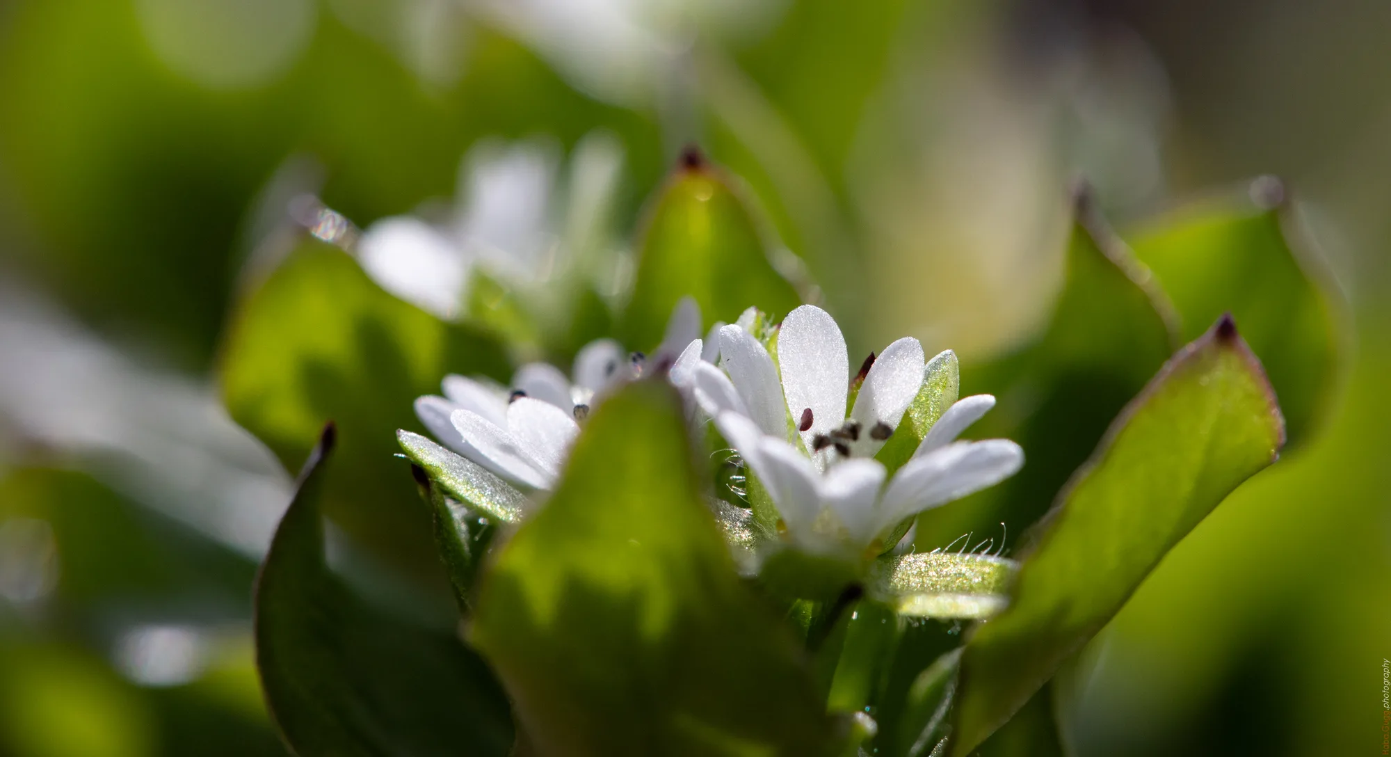 Das Kleine, das bleibt