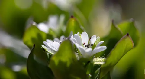 Das Kleine, das bleibt