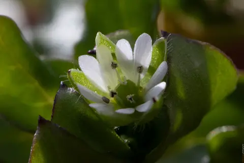 Das Kleine, das bleibt